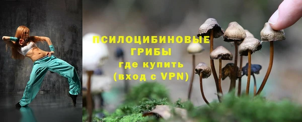 гашик Алзамай