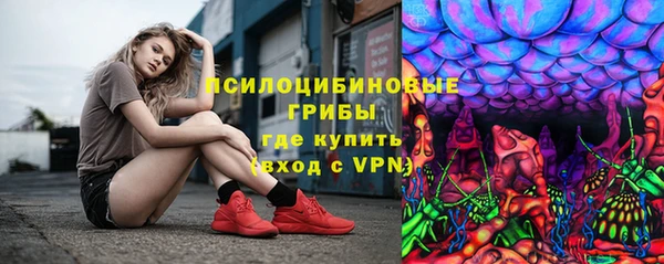 гашик Алзамай
