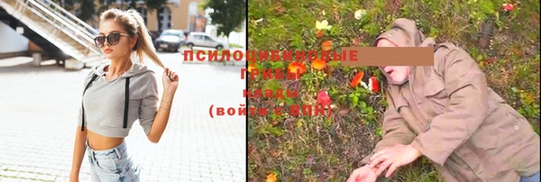 скорость Алексин