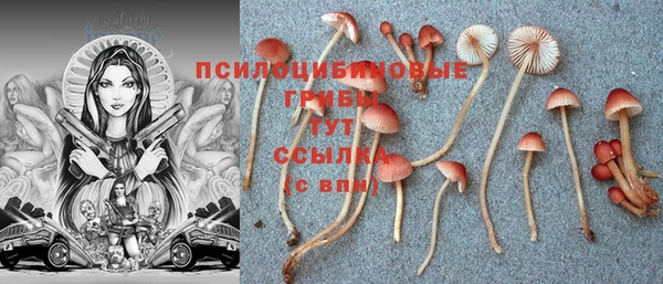 гашик Алзамай